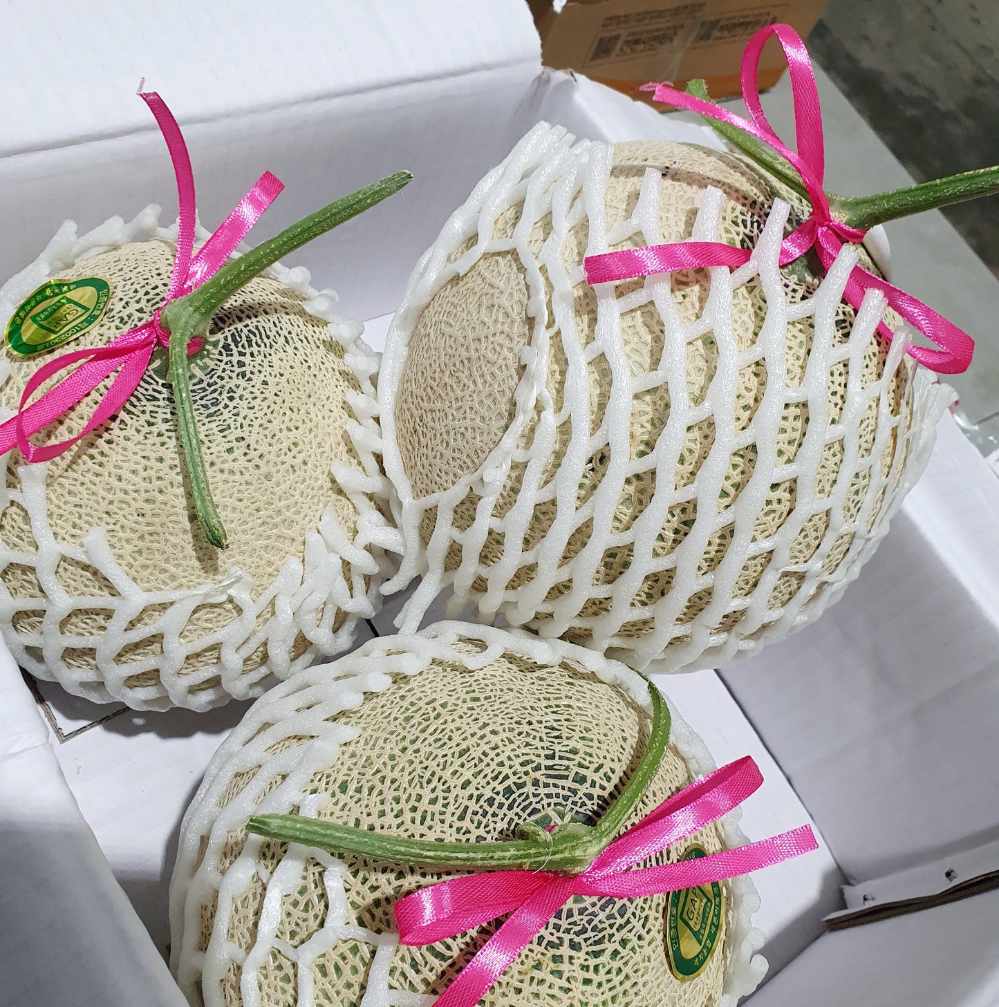 Individual packaging of korean musk melon
