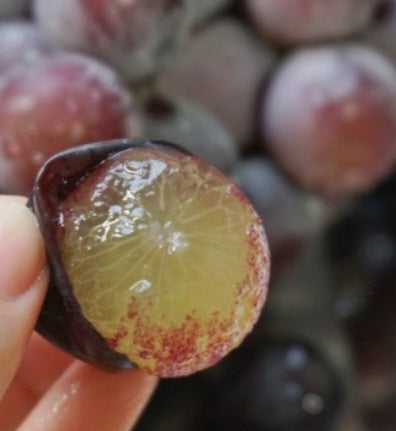Kimcheon Special-grade Kyoho (거봉) Grapes (2kg, 3ea x ~700g bunches) - Better Deal!