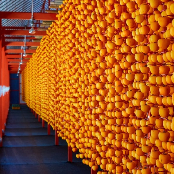 Sangju premium Semi-dry Persimmons (20 pieces, 2 boxes of 10 pieces/ box)-New!