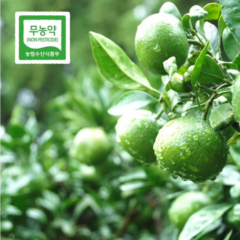 Dessert of the gods - Squeezed Green Tangerine Orange Tea (250g x 2ea) - New!