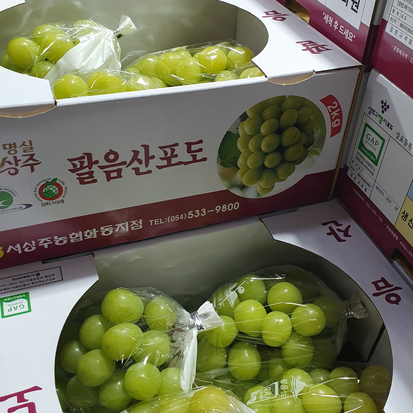 Sangju Paleumsan (상주 팔음산) Special-grade GAP certified Shine Muscat Grapes (~700g bunch)