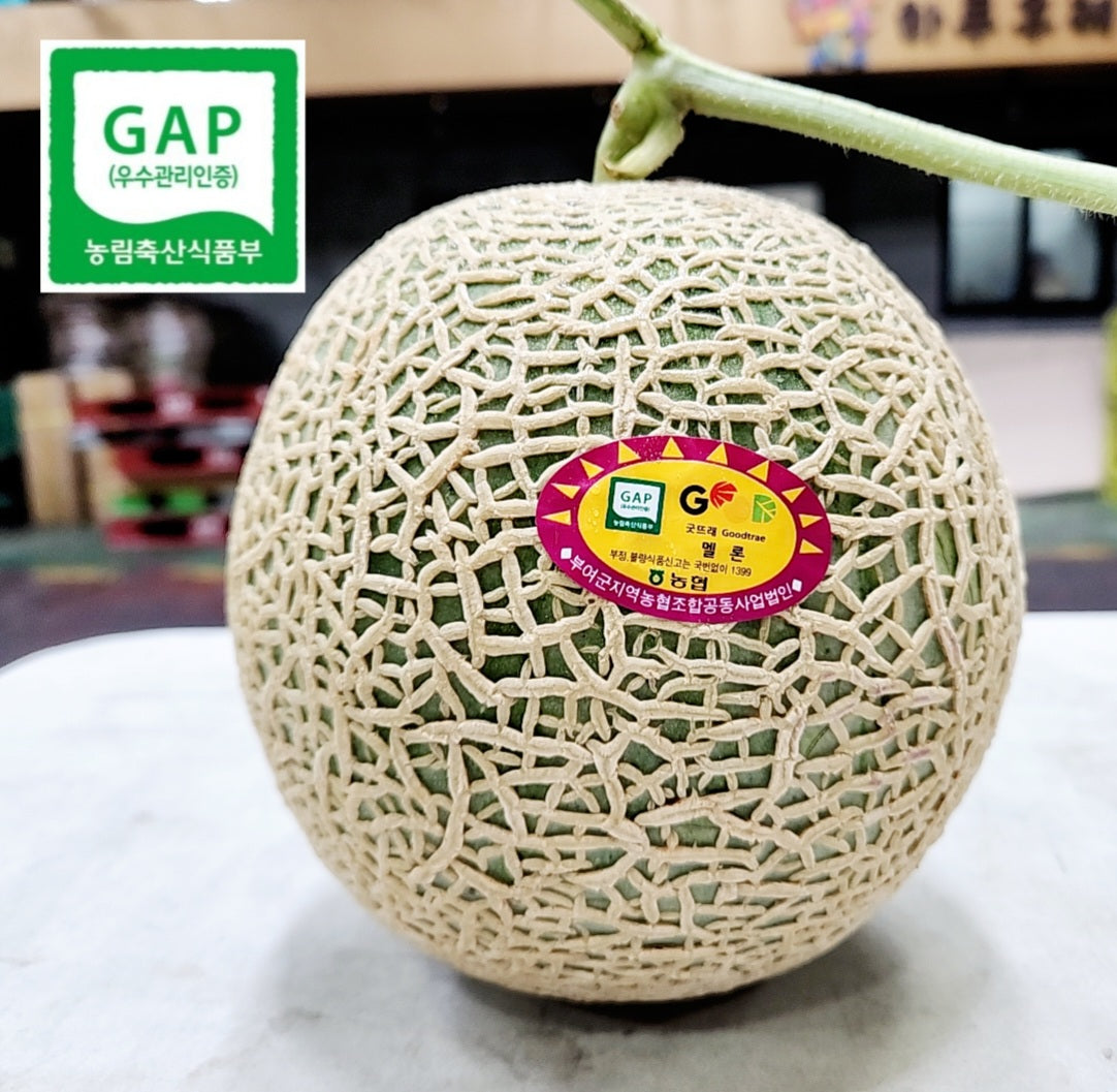 Goodtrae (굿뜨래) Premium Honey Musk Melon 2kg