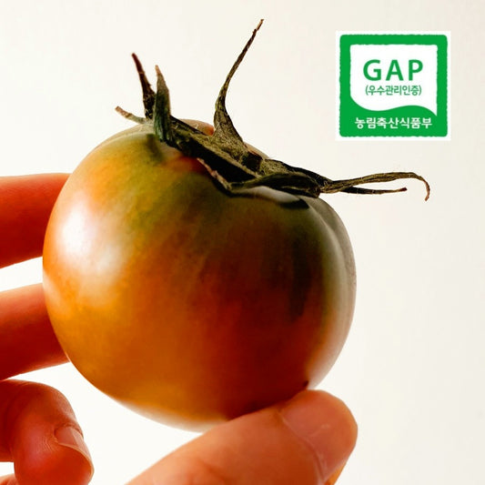 GAP-certified Daejeo small-size Tomatoes (1kg, 10~15ea)