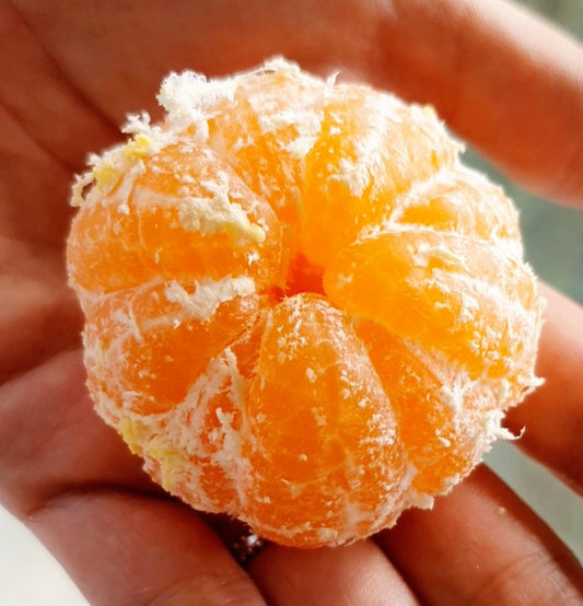 Special-grade Jeju Island House Tangerine Oranges (1kg, 14~16ea)