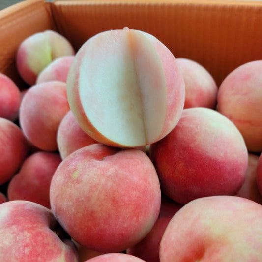 Cheonildo Crispy White Peaches (천일도 딱딱이 복숭아) 1.25kg+ (5ea) - last chance!
