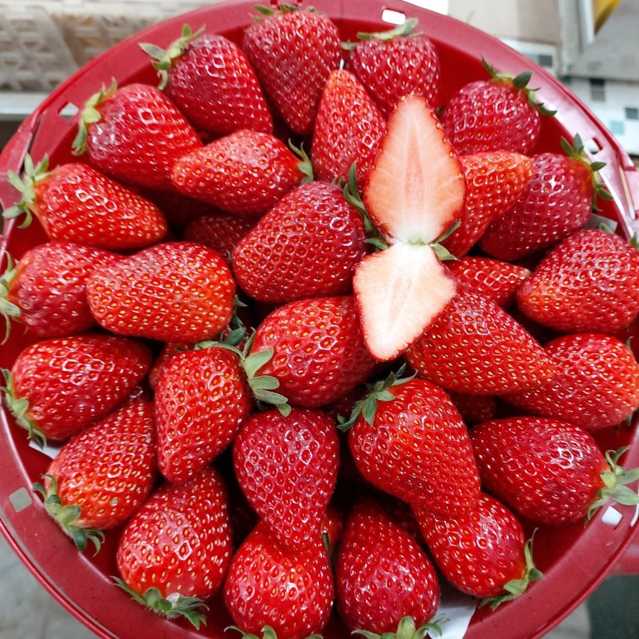 GAP-certified Premium Keumsil Strawberries 500g (15-18ea strawberries) - New!