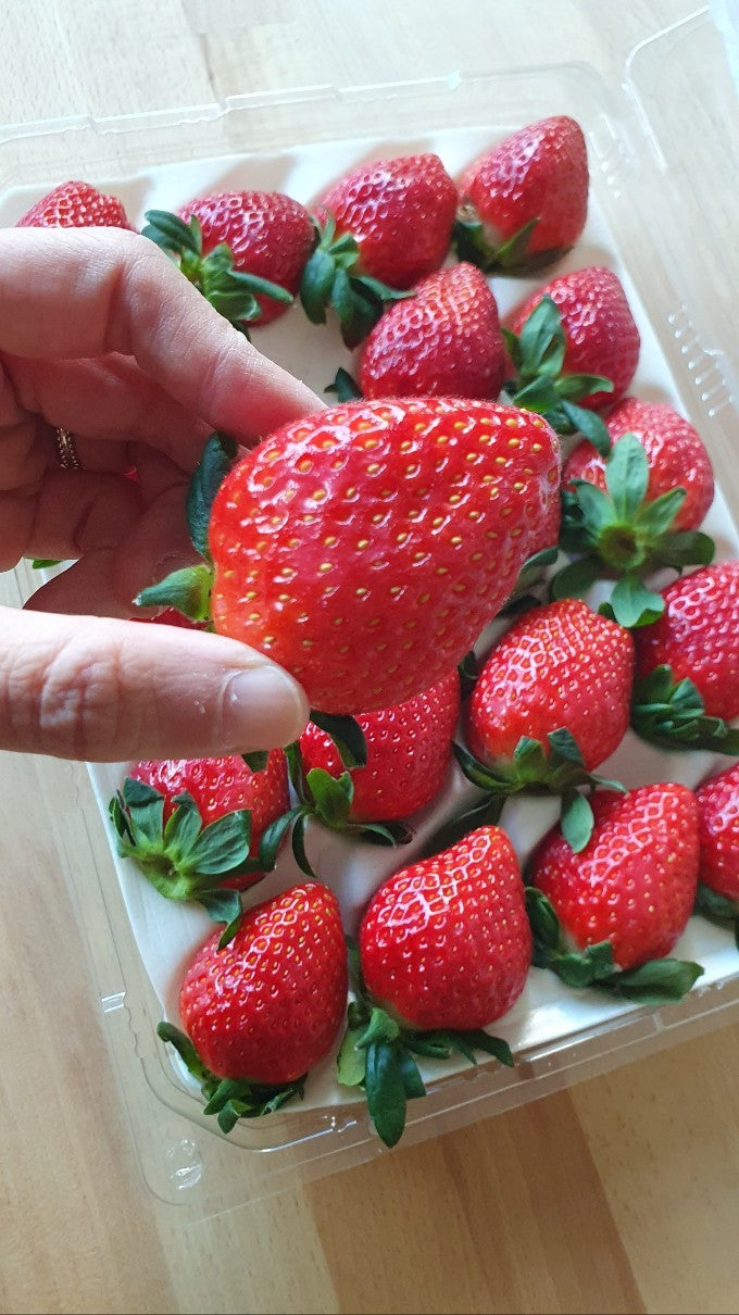GAP-certified Premium Keumsil Strawberries 500g (15-18ea strawberries) - New!