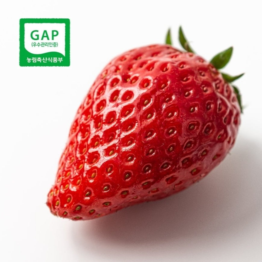 GAP-certified Premium Keumsil Strawberries 500g (15-18ea strawberries) - New!