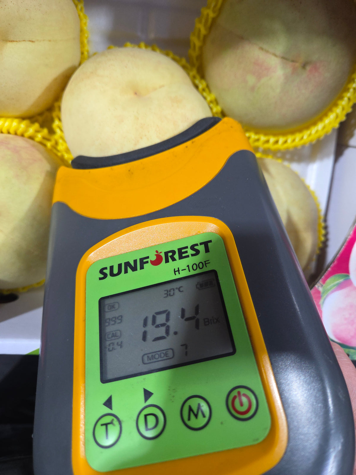 Top-grade Chewy Snow White (Seol-Ah) Peaches 2kg (5-6EA XL-size peaches)