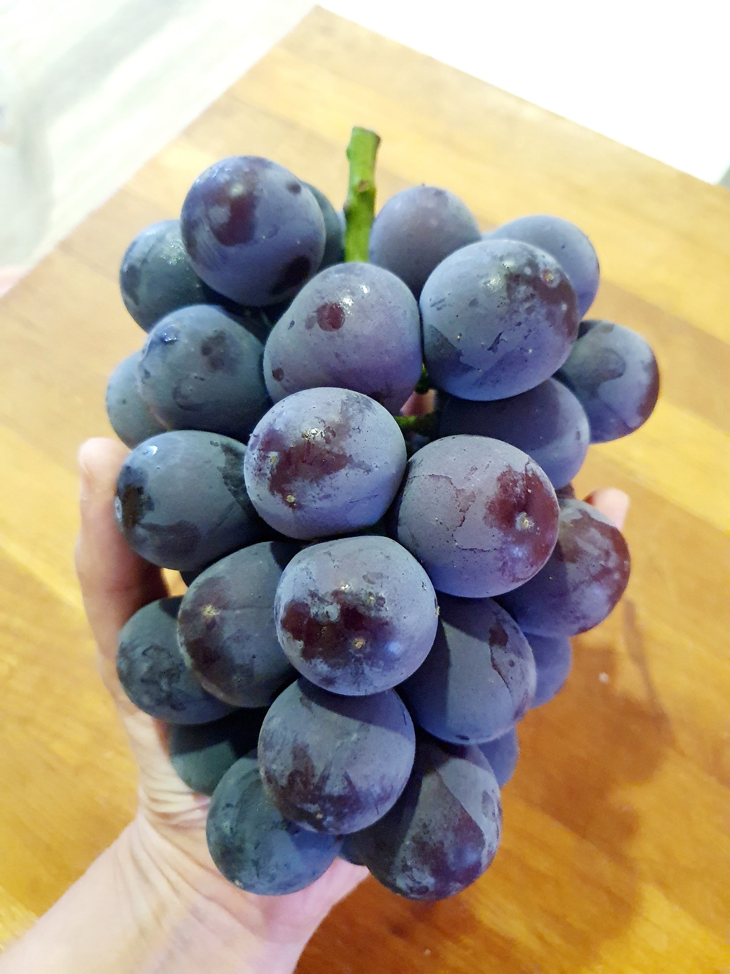 Kimcheon Special-grade Kyoho (거봉) Grapes (~700g bunch)