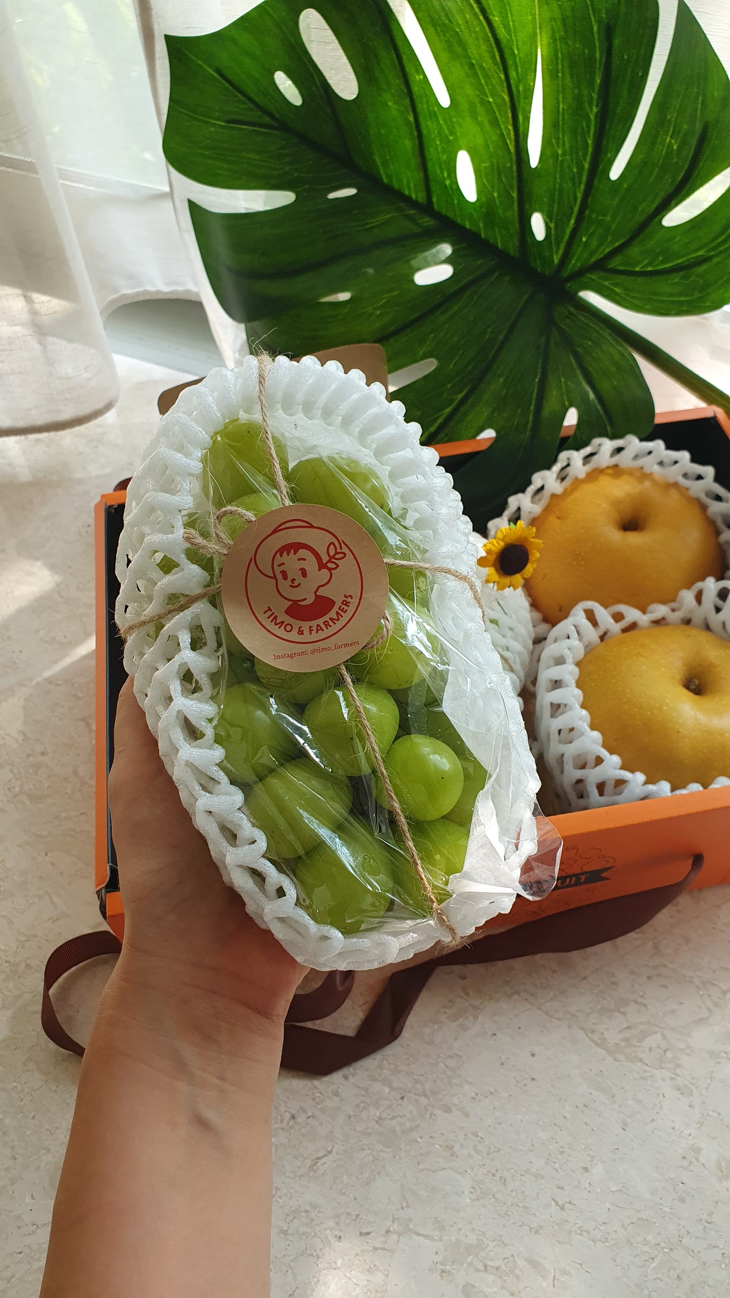 Autumn Special:  Shine muscat grapes, pears and dry persimmons in a box