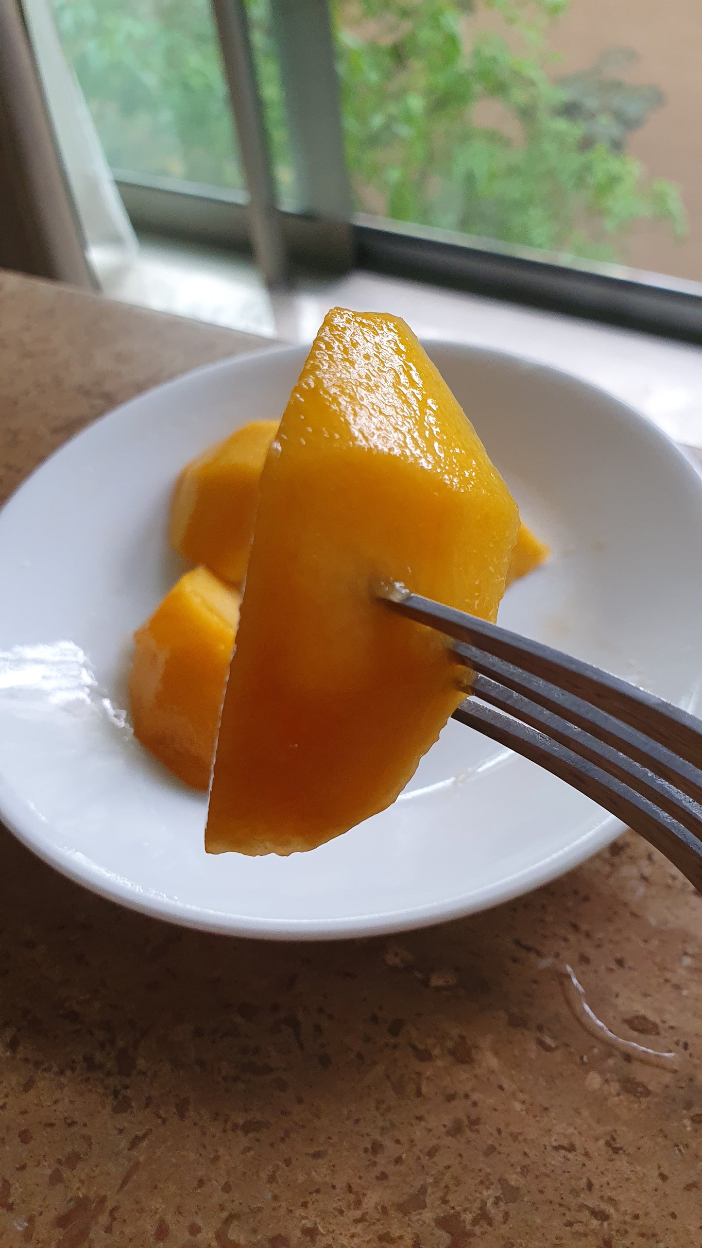 Hessare(햇사레) GAP-certified Premium Yellow Peaches 1.25kg (5ea) - last chance!