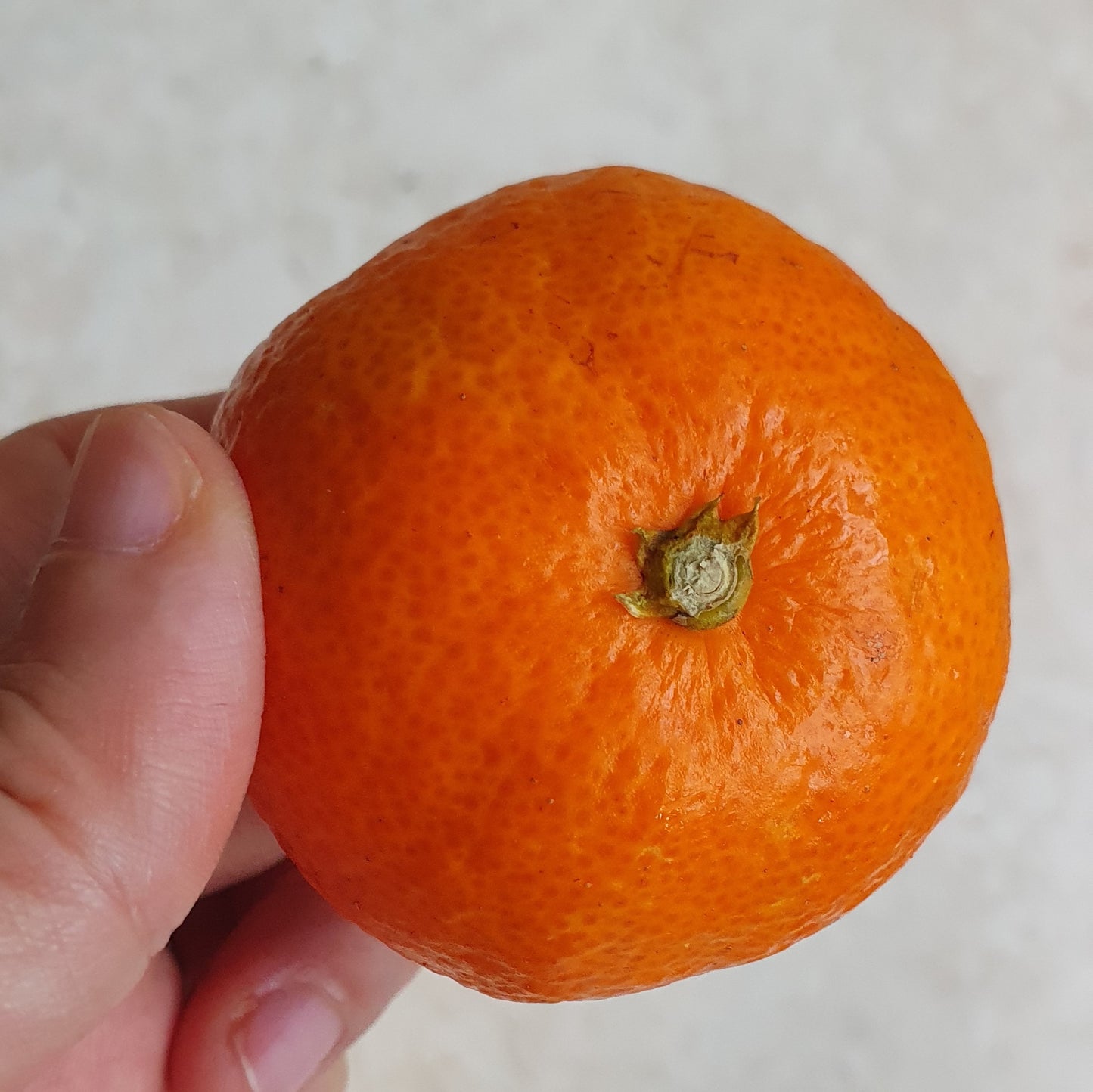 Himsseon Red Diamond (17 BRIX+) Tangerine Oranges (1kg, 14~16ea) - New!