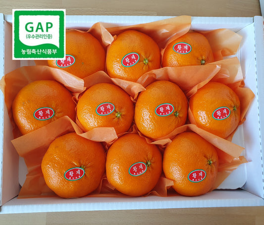 Jeju Island Special-Grade Redhyang Oranges box (3kg, 10EA) - New!