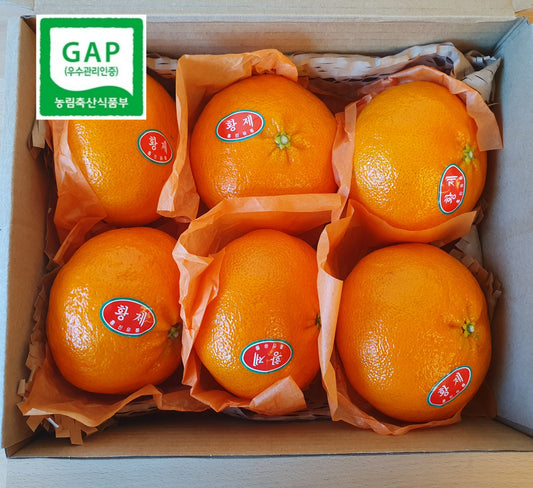 Jeju Island Special-Grade Redhyang Oranges box (~1.5kg+, 6EA) - New!