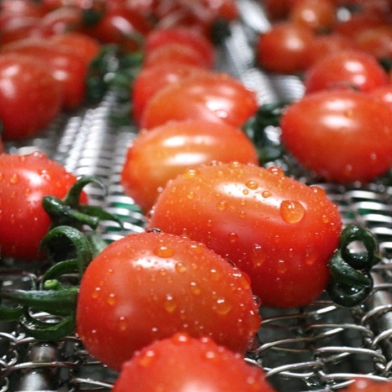 Stevia cherry tomatoes 500g pack