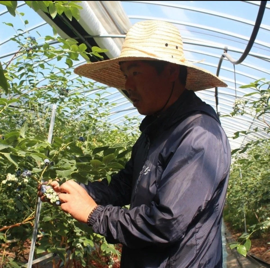 Saedongnae farm