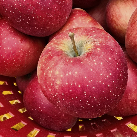 Premium 'Gamhong' Apples (3ea x 300g+ per apple) - New!