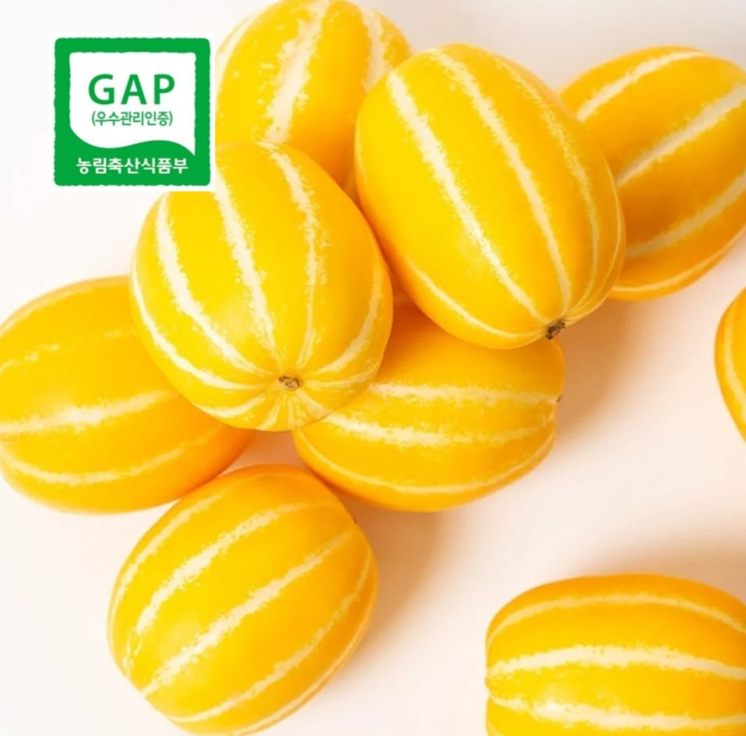 Premium GAP-certified Honey (꿀) Oriental melons (6-7EA, ~1.5kg)