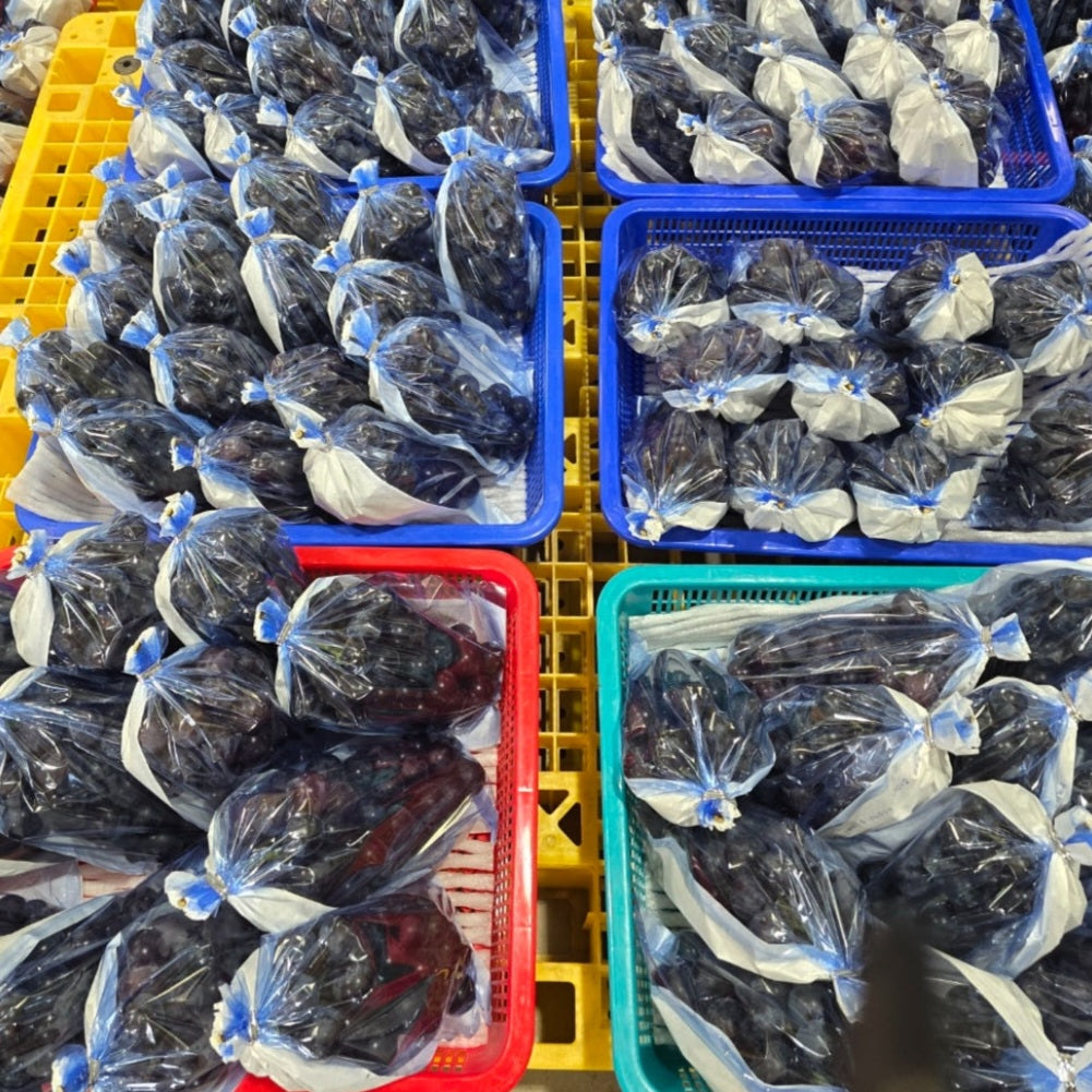 Baekhwasan Special-grade, GAP-certified Kohyo Grapes (~700g bunch) - New!  Direct from the farm!