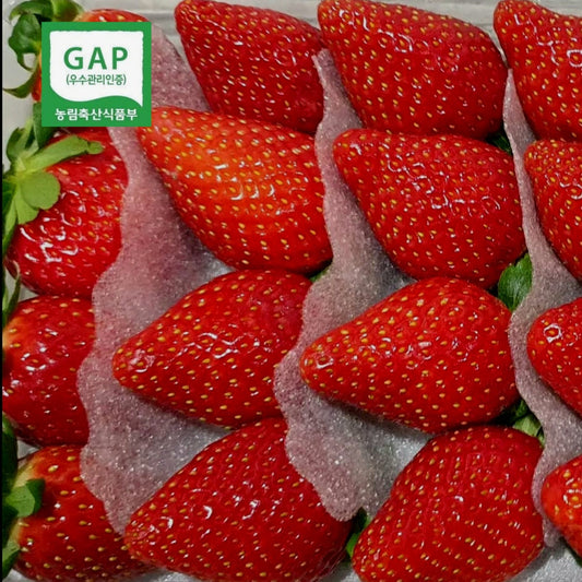 GAP-certified Specia Jukhyang Strawberries 500g (15~18ea) - only in March!