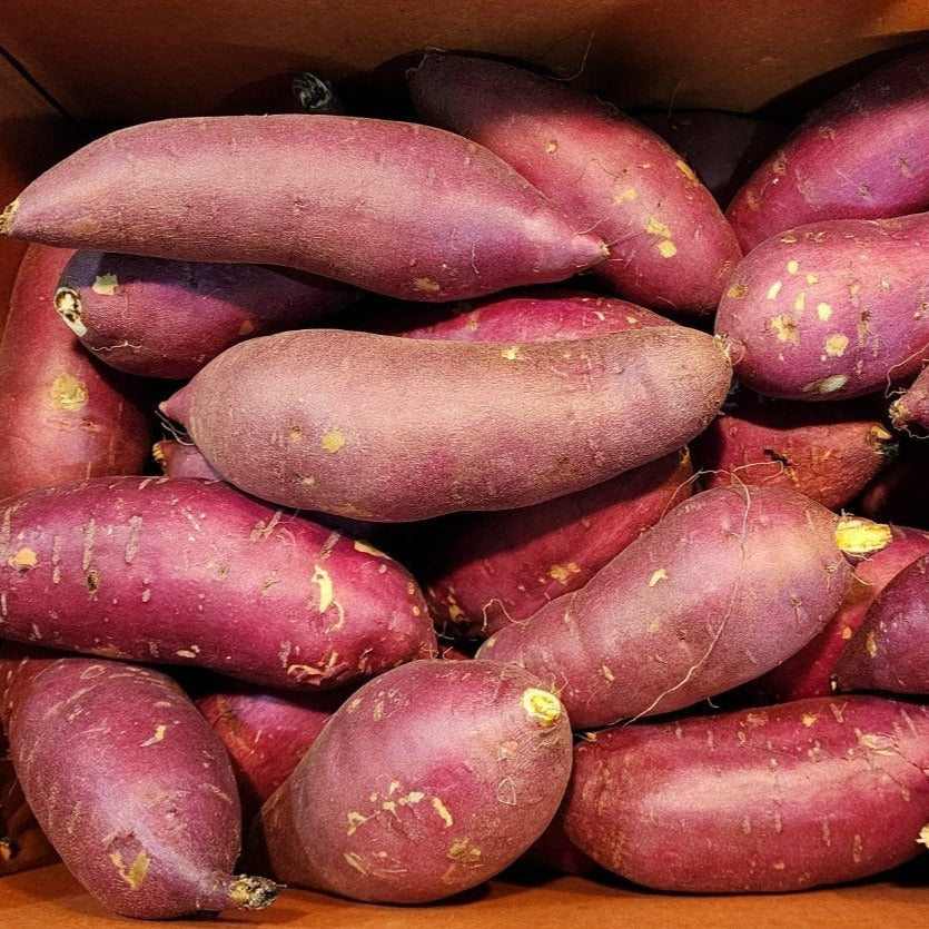 uncooked goguma from korea jeun farm