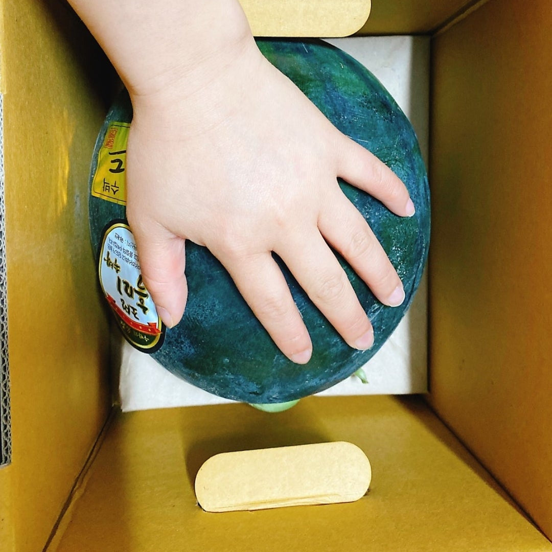Early Harvest Heukmi Black Watermelon (조생 흑미 수박, 4kg/melon) - Last chance!