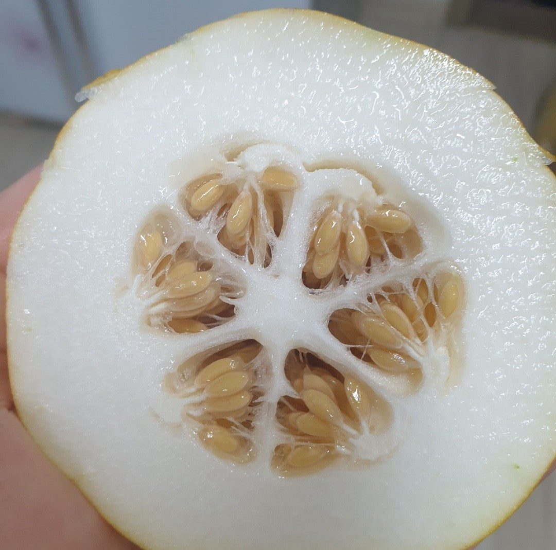 honey sweet flesh inside