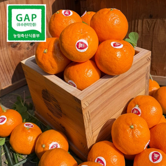 Himsseon Red Diamond (17 BRIX+) Tangerine Oranges (1kg, 14~16ea) - New!