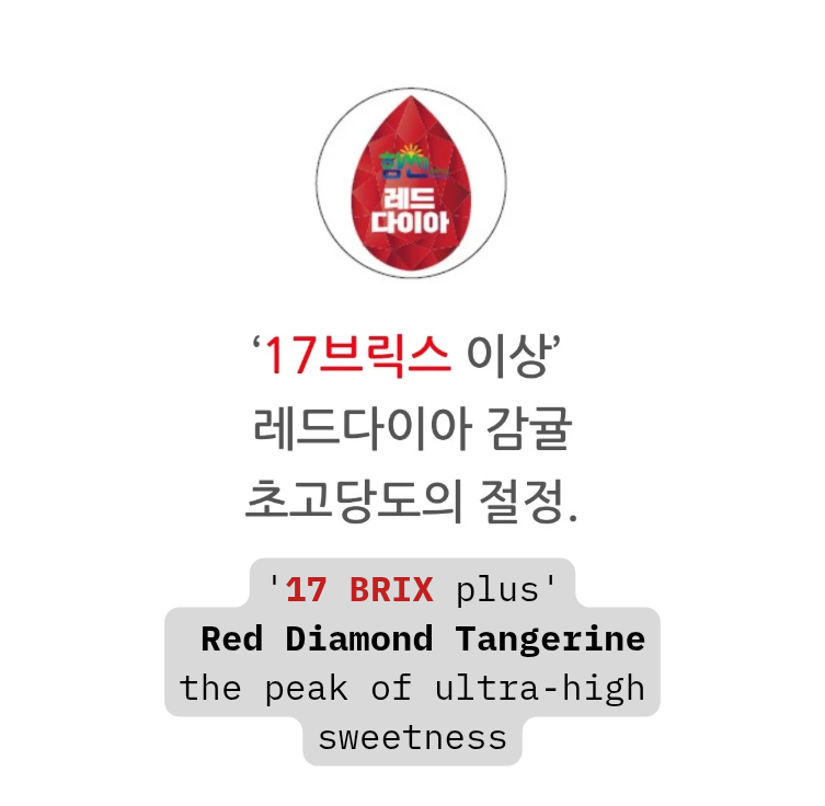 Himsseon Red Diamond (17 BRIX+) Tangerine Oranges (1kg, 14~16ea) - New!