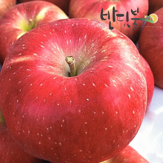 Muju Banditbul (반딧불, Firefly) Premium 'Hongro' Apples (3ea x 300g+ per apple) - New!