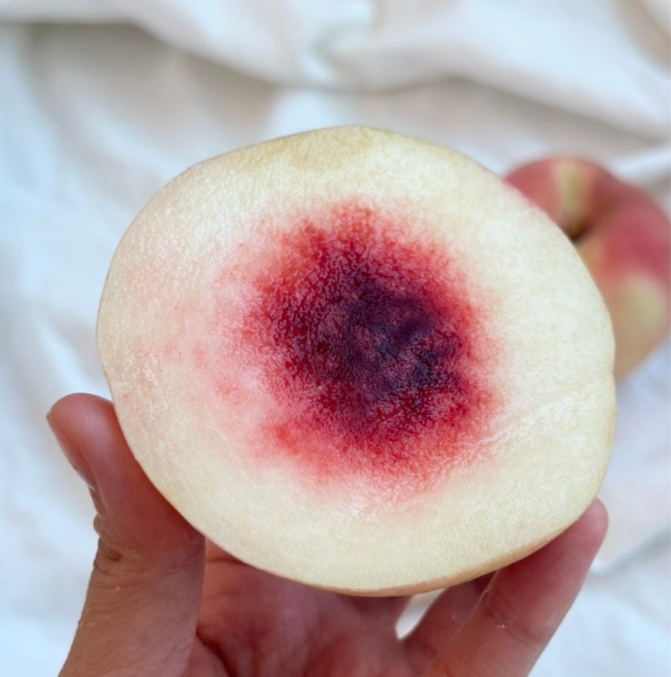 Hessare(햇사레) GAP-certified Premium Soft White Peaches 1.25kg (5ea-6ea)