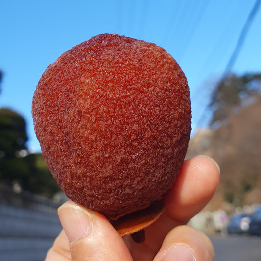 gotgam